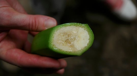 Improve banana quality